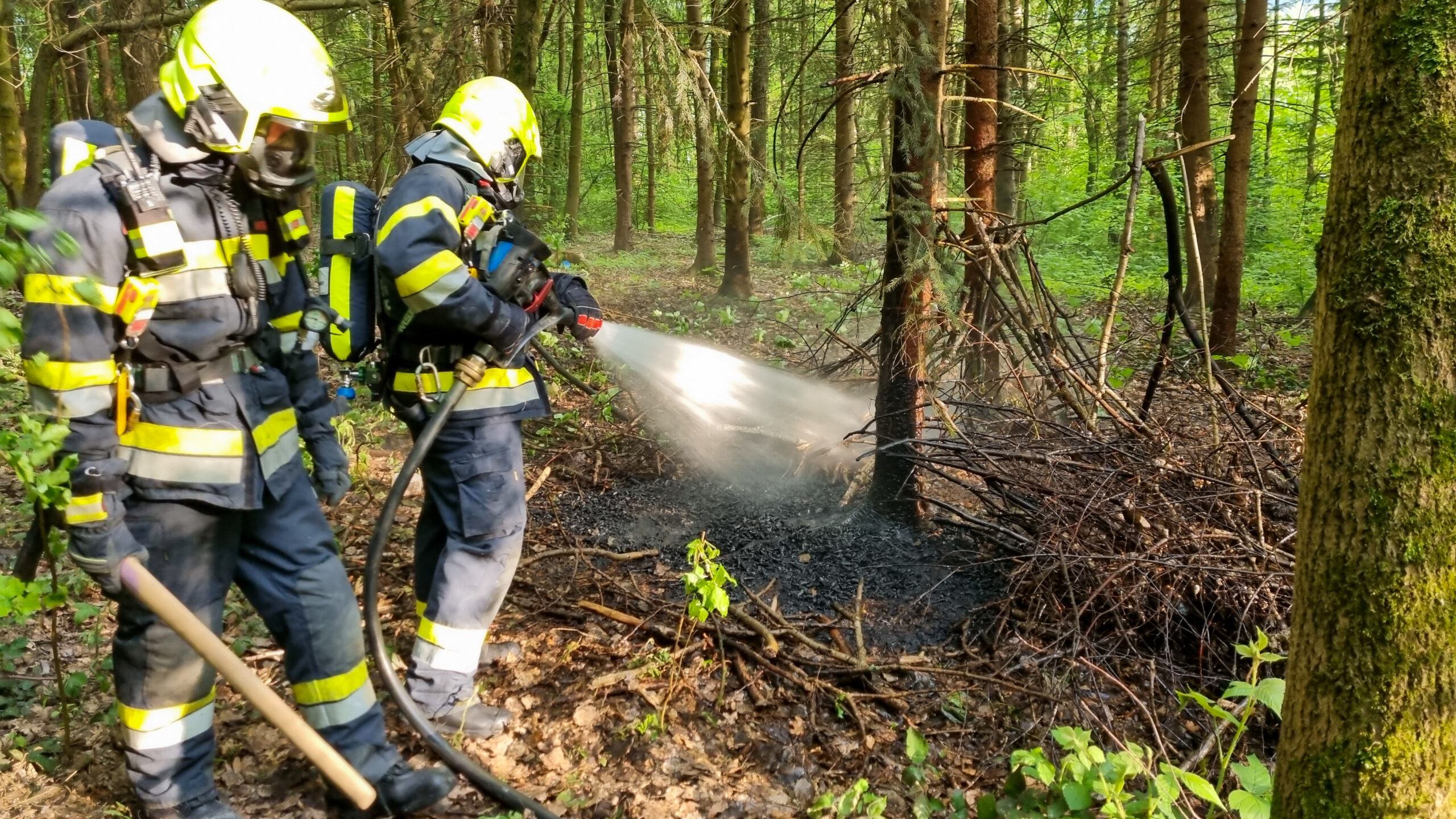 Feuchter Waldboden verhindert Ausbreitung eines Waldbrandes