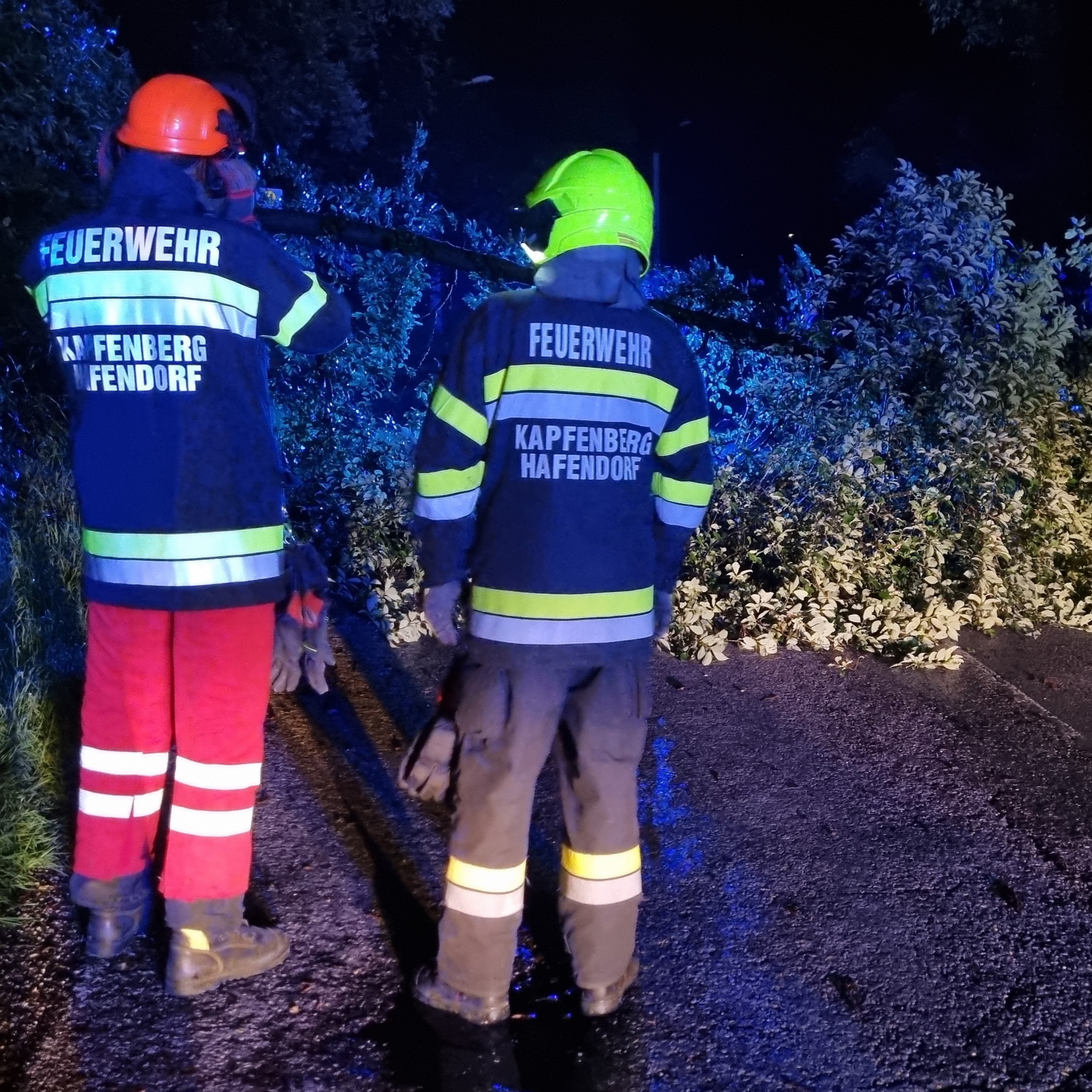 Unwetter brachte Baum zum Fall